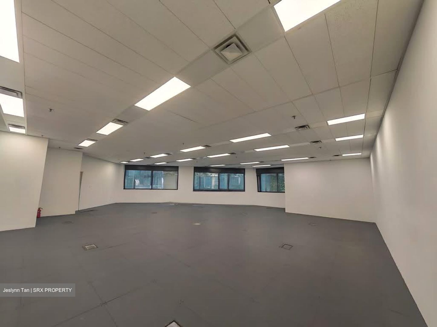 Robinson 77 (D1), Office #550255011